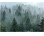 Wallarena Fototapete, Mehrfarbig, Papier, Baum/Pflanze/Natur, Rechteckig,...