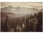Wallarena Fototapete, Mehrfarbig, Papier, Uni, Rechteckig, 250x175 cm, FSC 100%,