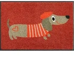wash+dry Fussmatte Monsieur Chien, Rot, Textil, Hund, rechteckig, 50x75 cm,