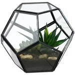 Relaxdays Pflanzenterrarium, Transparent, Glas, Metall, 12 cm, Dekoration, Vasen,