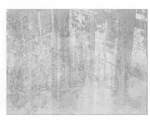 Tulup Glasplatte, Grau, Glas, Rechteckig, 80x60x0.4 cm, Kleinm&ouml;bel, Kamine &