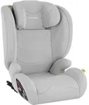 tectake Autositz, Hellgrau, Kunststoff, 48x81x45 cm, Baby on Tour, Kindersitze,