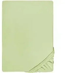 biberna Spannbetttuch, Hellgr&uuml;n, Textil, Uni, 200x200 cm, Schlaftextilien,