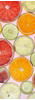 Komar Vliestapete, Mehrfarbig, Zitronen, 100x280 cm, Fsc, Tapeten Shop, Vliestapeten