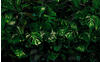 Komar Vliestapete, Blätter, 400x250 cm, FSC Mix, Tapeten Shop, Vliestapeten