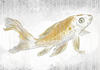 Fototapete, Grau, Weiß, Gold, Fische, 400x280 cm, Tapeten Shop, Fototapeten