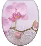 Sanilo Wc-Sitz, Pink, Holzwerkstoff, Grafikmuster, Oval, 37.7x5.5x48 cm, Badezimmer,