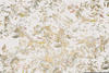Fototapete, Weiß, Gold, Federn, 400x280 cm, Tapeten Shop, Fototapeten