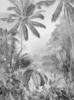 Komar Vliestapete Tropical, Schwarz, Weiß, Bäume, 200x270 cm, FSC Mix, Tapeten