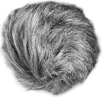 Zoom 10006847, Zoom WSU-1