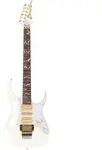 Ibanez PIA3761-SLW - E-Gitarre