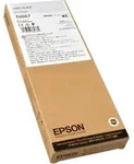 Epson Tinte C13T606700 light black T6067