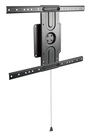 Equip 37-80 universelle drehbare Wandhalterung