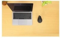 MH Ergo. Vert. Funkmaus USB-A 6 Tasten