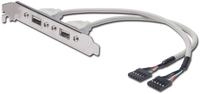DIGITUS Slotblech 2xUSB/A -> IDC 2x5Pin Bu/Bu 0.25m Polybeutel