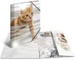 HERMA Sammelmappe A4 Glossy Katze Polypropylen