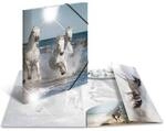 HERMA Sammelmappe A4 Glossy Pferd Polypropylen