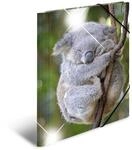HERMA Sammelmappe A4 Glossy Koala Polypropylen