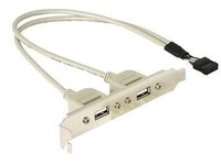 DELOCK Slotblech 2x USB A