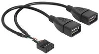 DELOCK USB Kabel Pinheader 10Pin -> 2x A Bu/Bu 0.20m