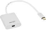 InLine&reg; USB Display Konverter, USB-C ST zu Mini DisplayPort 4K/60Hz, silber