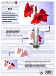 Olympia Laminierfolie DIN A5 125 Mic 100 St&uuml;ck transp.