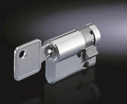 Rittal Profilhalbzylinder CS 9785042 VE=2 gleichschliessend