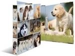 HERMA Ringbuch A4 Pferde 2D