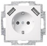 BJ Schuko/USB-Steckdose 20 EUCB2USB-914 Busch-Balance SI USB-Ladestation alpinws