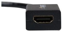STARTECH DisplayPort Video Converter