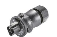 WIE STECKERTEIL M. ZE RST20I3SS1ZR1VSW Steckverbinder 3pol 96.032.4053.1