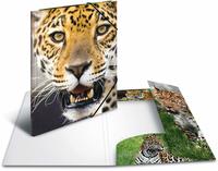 HERMA Sammelmappe A3 Leopard Polypropylen