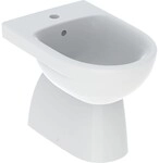 Geberit Renova Standbidet, teilgeschl.Form 500812018