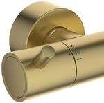 Ideal Standard Duschsystem Ceratherm T125+ Brushed Gold, A7689A2 A7689A2