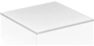 Keuco Abdeckplatte Edition 11 31324, 1066x3x520mm, cashmere, 31324189012 31324189012