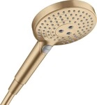 Hansgrohe Handbrause Raindance Select S 120 EcoSmart BBR, 26531140 26531140