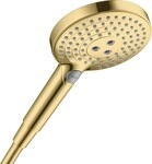 Hansgrohe Handbrause Raindance Select S 120 EcoSmart PGO, 26531990 26531990
