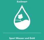 Hansgrohe Handbrause Pulsify 105 3jet EcoSmart Activation chrom, 24101000 24101000
