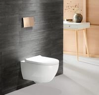 Geberit Acanto Set Wand-WC m. WC-Sitz, T: 53cm, Tiefsp&uuml;ler, sp&uuml;lrandlos,