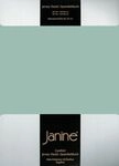 Janine Janine Spannbetttuch Elastic-Jersey 5002 rauchgr&uuml;n (36) Gr&ouml;&szlig;e: 100x200 cm