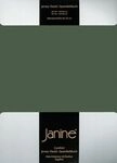 Janine Janine Spannbetttuch Elastic-Jersey 5002 olivgr&uuml;n (76) Gr&ouml;&szlig;e: 200x200 cm