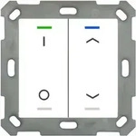 MDT technologies Taster Light 55 2-fach RGBW,rws/gl&auml; BE-TAL5502.D1