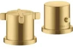 hansgrohe Fertigset Axor Citterio E 2-L-W-Ran-Arm, m Thermostat, brush. gol opt