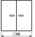 JUNG Taster 2fach JUNG HOME BT A 17102 WW