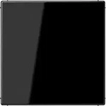 Jung Blind-Abdeckung sw kompl.mit Tragring LS 994 B