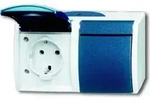 Busch-Jaeger Schuko-Steckdose 2f.gr/bgn waagerecht 20/2 EW-53