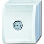 Busch-Jaeger SCHUKO-Steckdose al/ws mit Schloss 20 EWSL-54