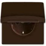 Busch-Jaeger Schuko-Steckdoseneinsatz IP44 braun 20 EUGK-31-101