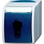 Busch-Jaeger Schl&uuml;sselschalter AP 2733 SLW-53