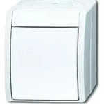 Busch-Jaeger Ausschalter 2601/2 W-54